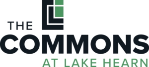 The_Commons_Logo_RGB_color_black