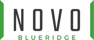 Novo Blueridge logo