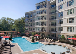 Treeline-Ansley-2.webp